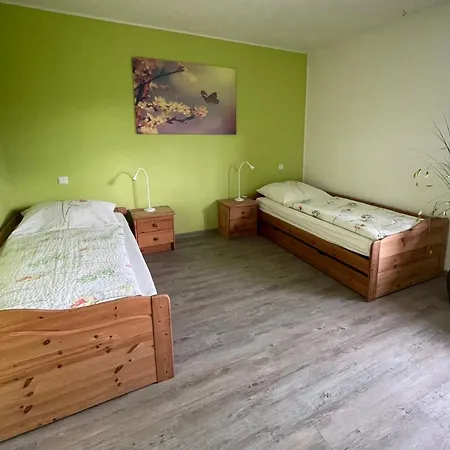 „vogelnest“ Im Vogelsberger Hof 公寓 *